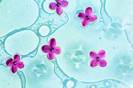 Lilac flowers in water with oil. Cosmetology, medicine, beauty. Flat lay. Selective focusの写真素材