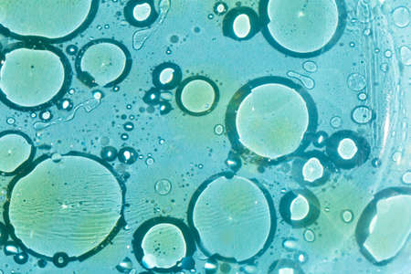 Lots of oily yellow spots on the water, circles in the water on a light blue background, cosmos, beauty in simplicity, a solution for any design. Selective focus, defocusの写真素材