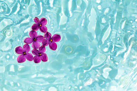 Five lilac flowers in aqueous oil solution. Cosmetology, medicine, beauty, perfumery. Flat lay....