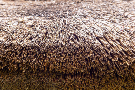 Heap of straw stacked in rows. Background for your design