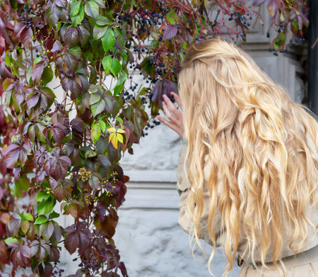 A girl near the wild grapes. Long blonde luxurious hair, scattered on the back. Beauty and fashion, hairdresser and hairstyleの写真素材