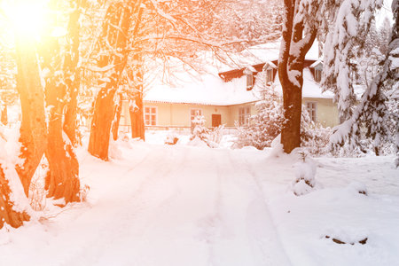 Winter. A road leads to a snowy house in the middle of the forest in the sunshine. The mountains of the Carpathians. Winter travelsの写真素材