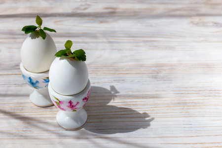Easter. Eggs are in a stand. Young green leaves sprout from them. The concept of new life. Light background with copy space. View from aboveの写真素材