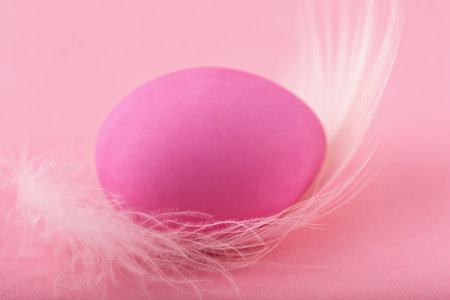 Magenta Easter egg on white fluffy feather on pink background close-upの写真素材