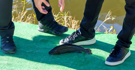 Fishermen caught trout. Two men rejoice at catch. Selective focusの写真素材