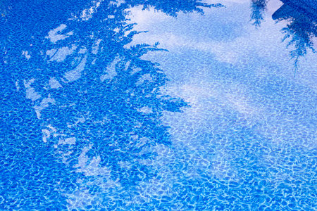 Trees and clouds are reflected in clear blue poolの写真素材