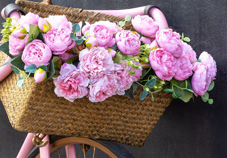 Wicker basket with blooming beautiful pink peonies on bike handlebars close-up. Love, romance and relationshipsの写真素材