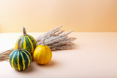 Beautiful ripe striped pumpkins and dry plants on beige background with copy space. Halloween. Locally grownの写真素材