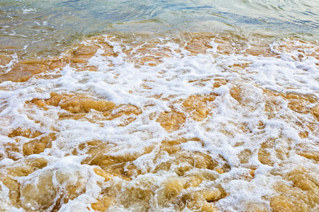 Close-up of sea foam gently covering sandy beach, capturing natural texture and movement of ocean....