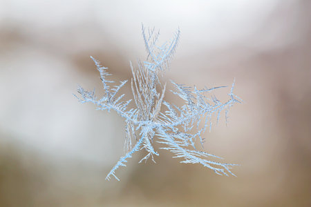 Close-up of frosty snowflake pattern on window glass, showing delicate and natural beauty of ice formations against blurred neutral backgroundの写真素材
