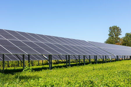 Solar energy. Solar panels arranged in rows on lush green field, absorbing sunlight under clear blue...