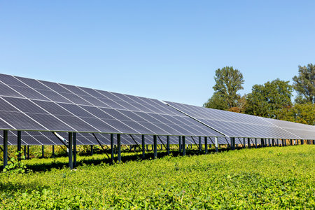 Solar energy. Solar panels are arranged in rows on lush green field, capturing sunlight under bright blue sky, emphasizing importance of renewable energy and sustainable technology in modern societyの写真素材