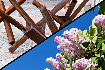 War or peace. Abstract metal sculpture made of rusted steel beams contrasts beautifully with blooming lilac flowers under bright blue sky, creating striking visual harmony in outdoor settingの写真素材