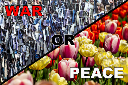 War or peace. Textured fabric background of camouflage netting made of colorful fabrics on one side and beautiful blooming tulips on other, concept of war and peace, death and lifeの写真素材