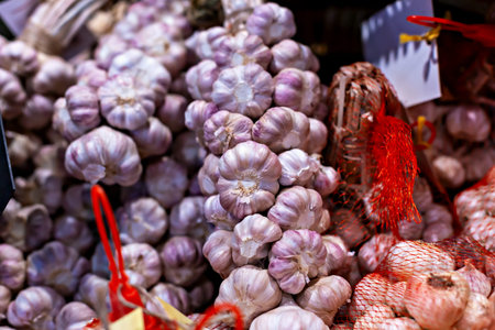 Organic market. Close-up view of fresh garlic bulbs arranged in market setting, featuring red strings and labels attached to bundles, showcasing their texture and color in vibrant displayの写真素材