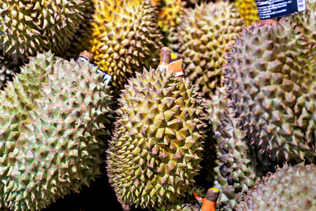Organic market. Durian fruits with distinctive spiky shells are arranged closely together in market...