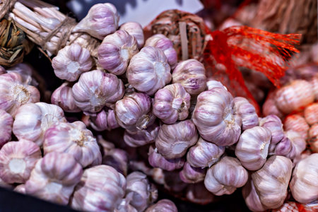 Organic market. Fresh garlic bulbs are tied together with string, showcasing their purple and white...