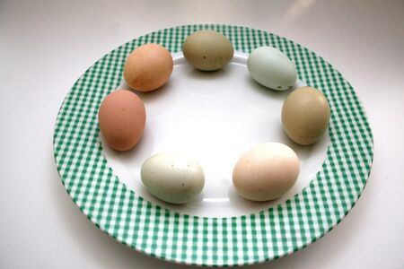 Colored eggs in a circle on a ginham plateの写真素材