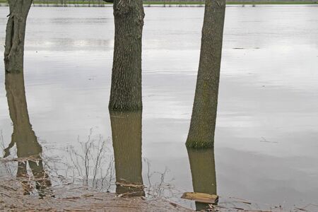 Reflection of trees and sky and clouds in the water in a flooded area