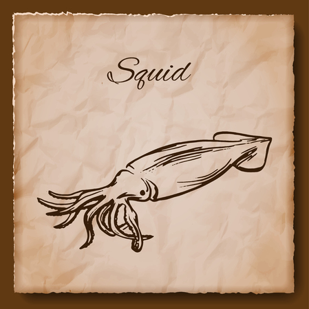 Seafood vintage illustration with squid. Template for menu or brochure. Vector illustrationのイラスト素材