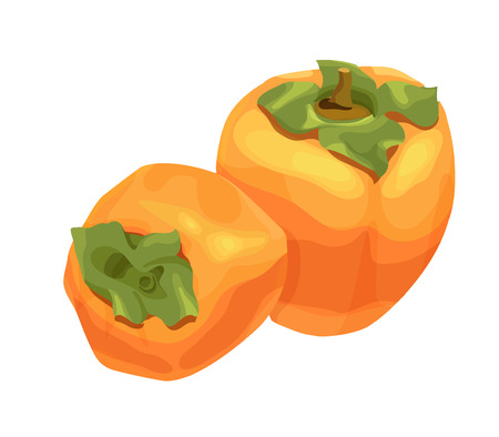 Persimmon vector icon, hand drawn sketch of tropical exotic orange fruit, template for menu, diet infographics, sticker, flyer, printのイラスト素材
