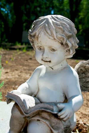 The Stareの写真素材