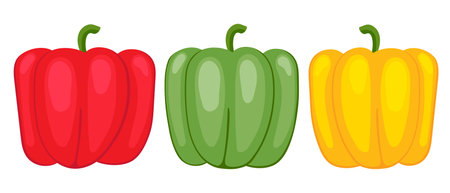 Sweet pepper green, yellow and red, drawn by cartoon vector, three vegetables for vegetarian food. Illustration in flat childish style.のイラスト素材