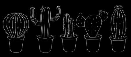 Cacti are drawn with a white outline on a black background, the effect of a blackboard and chalk. Vector one line drawing of succulents.のイラスト素材
