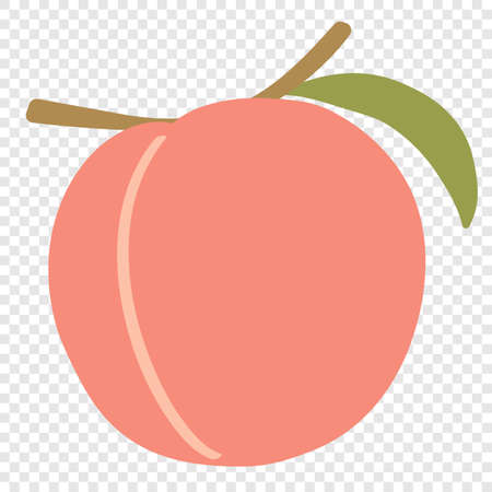 Peach - red summer fruits on a transparent background, vector graphic illustration. Natural, organic dessert sweet, fresh fruit for vegetarian food, flat cartoon drawing.のイラスト素材