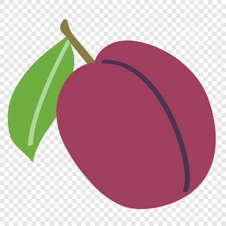 Plum - delicious sweet fruit, flat cartoon vector illustration. Emblem icon for creating packaging or templates.のイラスト素材