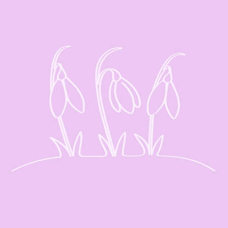 Snowdrops are the first spring flowers of the forest, a template for a beautiful Easter greeting card in the style of doodle. White outline drawing for children's coloring, a sample for a web screen.のイラスト素材