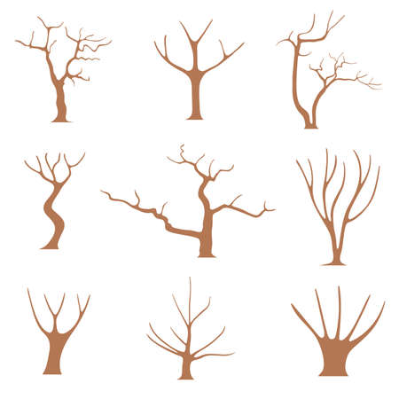 Tree trunks without foliage, curved branches in brown color, flat vector cartoon illustration. Template for creating landscape summer design solutions.のイラスト素材