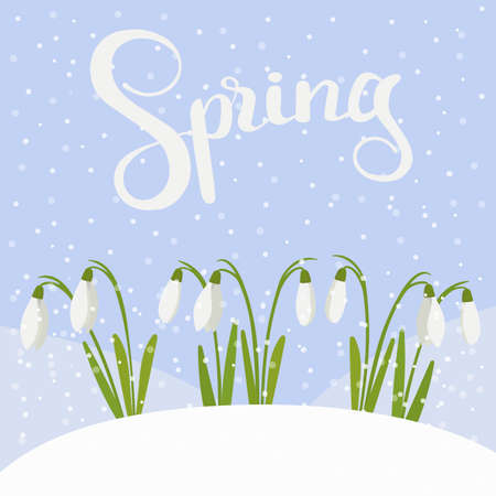 Spring landscape, template for a cover or postcard, snowdrops in bloom in the snow, vector illustration. A beautiful background for the splash of designer packaging.のイラスト素材