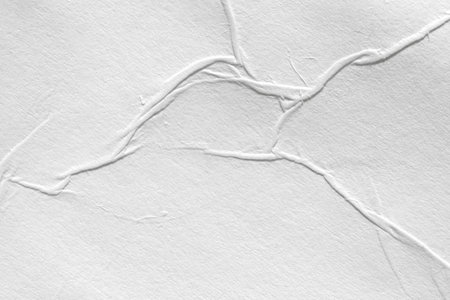 Paper white with wet effect texture, gray background for web design. Old cardboard cover template with kinks and crumpled elements.の写真素材