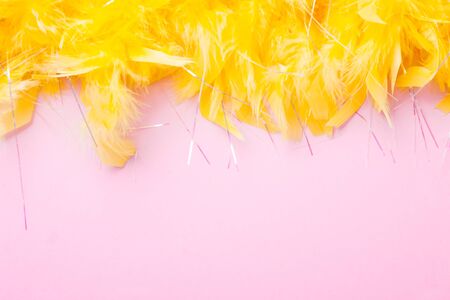 Yellow Feathers on pink background. Festive and holidayの写真素材