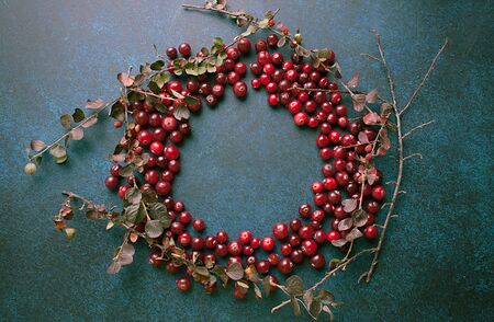 Cranberrie frame on dark background. top view, flay layの写真素材