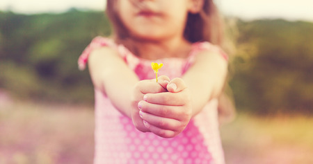 Little girl's hands holding a flower in summer field. Summer nature and happy childhood conceptの写真素材