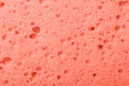Colored in color of 2019 coral. Macro photo of coral sponge