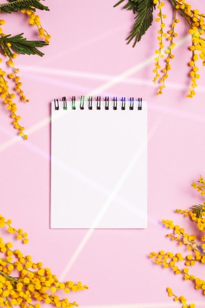 Spring yellow flowers and empty notepad on trendy background.の写真素材