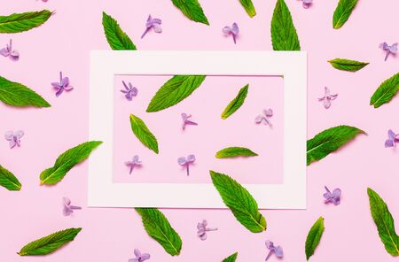Green mint leaves pattern on blue background. Minimal trendy background. Top view, flat lay. Summer creative background.の写真素材
