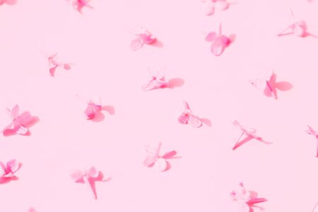 Lilac blossom flowers pattern in pink colors. Minimal creative background. top view, flat lay.の写真素材