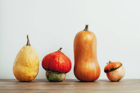 Decorative oroginal pumpkins on yellow background. Minimal helloween trendy concept. Top view, copyspace.の写真素材