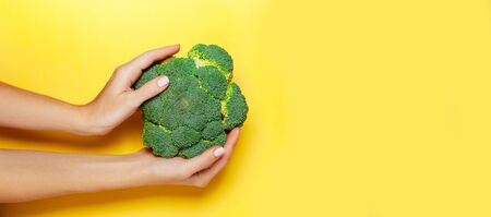 Female hand holding broccoli on yelow background. Minimal vegan concept. Healthy eating.の写真素材