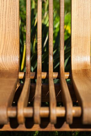 Wooden park bench in the garden.の写真素材