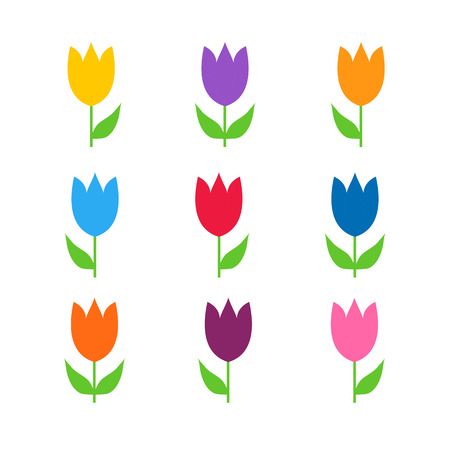 Colorful set tulips isolated over white. Vector illustration of spring flowers.のイラスト素材
