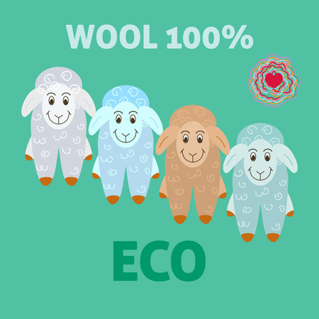 Sheep wool eco felting concept. Vector illustration of advertising sheep wool.のイラスト素材
