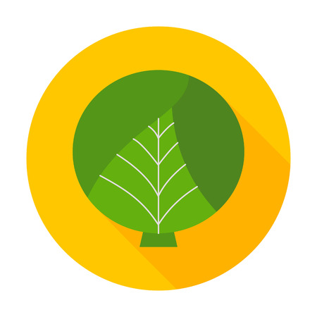 Cabbage flat circle icon illustration of fresh vegetable food.のイラスト素材