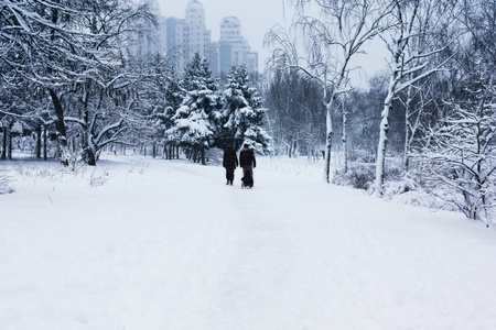 walking family in snowy parkの写真素材
