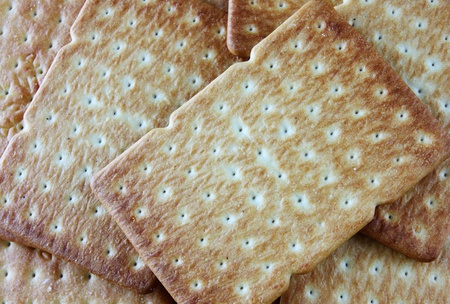salty crackerの写真素材