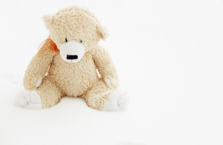 teddy bear lost in snowの写真素材